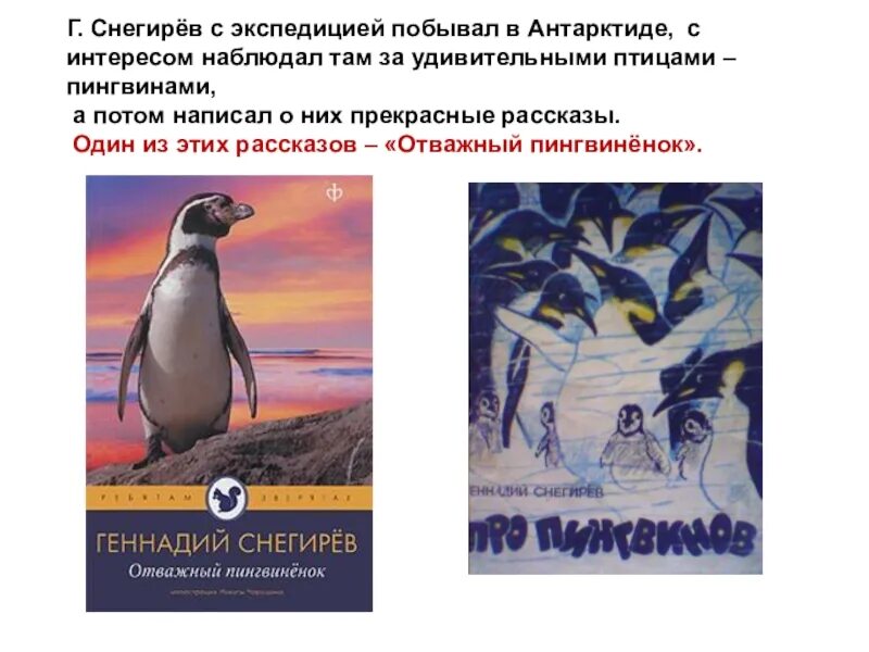 Г Я Снегирев отважный Пингвиненок. Пересказ рассказа г снегирева про пингвинов