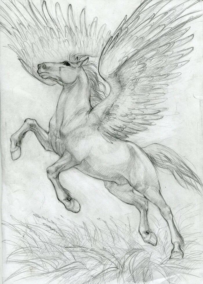 Пегас рисунок. Пегас рисунок. Пегас рисунок. Пегас рисунок. Пегас скетч.
