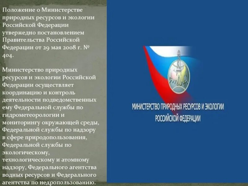 Положение о министерстве природных ресурсов и экологии. Министерство природных ресурсов и экологии рф ведомства. положение о министерстве природных ресурсов рф. министерство природных ресурсов минприроды. федеральные службы министерства природных ресурсов.