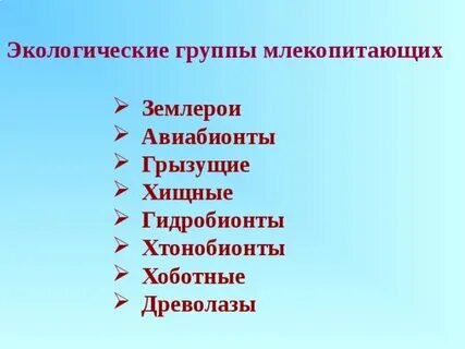 Группа окружающий