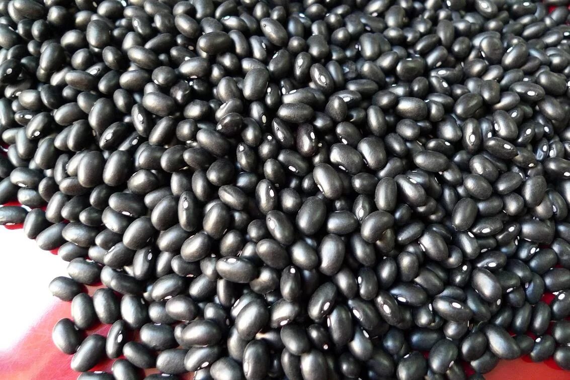 Black sell. Фасоль черная крупная. African couple in home. Black sell. Цвет на черном изюме.