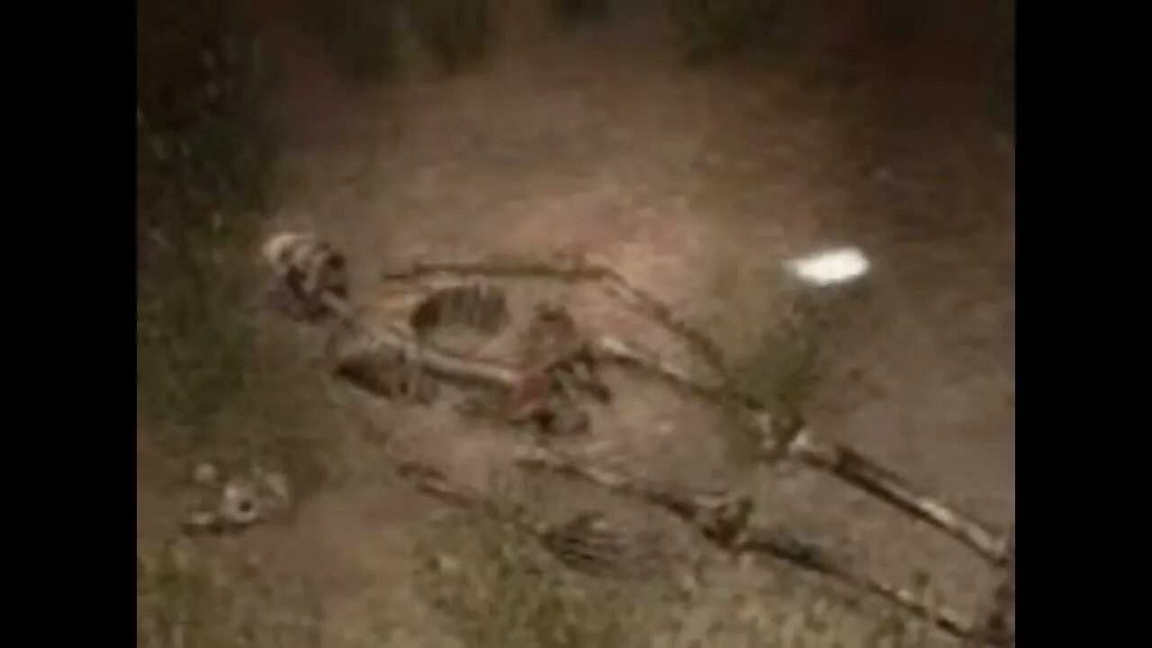 Друзья кардана зов припяти где найти. Труп шутника зов припяти. скелет шутника зов припяти. труп шутника сталкер зов припяти. сталкер зов припяти скелет шутника.