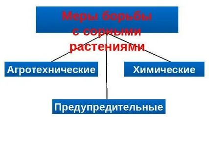 Предупредительные меры сорняки