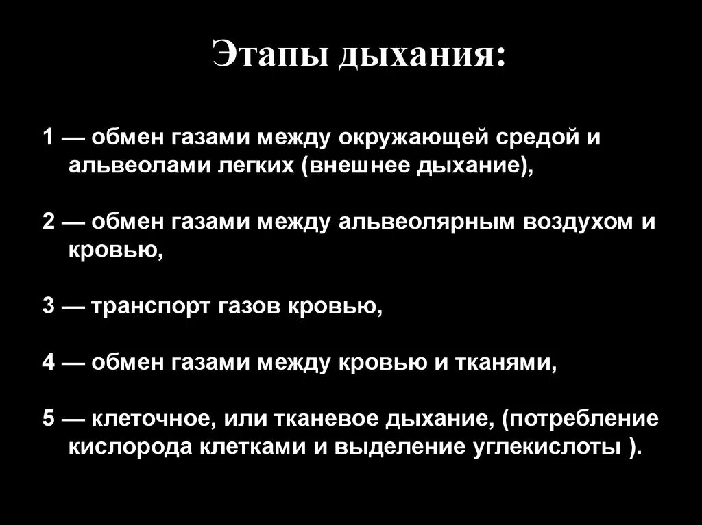 Правильную последовательность этапов дыхания. Этапы дыхания. Этапы дыхания физиология. 3 Этапа дыхания. Три фазы дыхания.