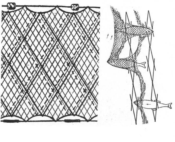 Для ловли рыбы 3. Посадка рыболовной сети трехстенки. Путанка рыболовная снасть. Сеть путанка для ловли рыбы. Посадка рыболовной сетки.
