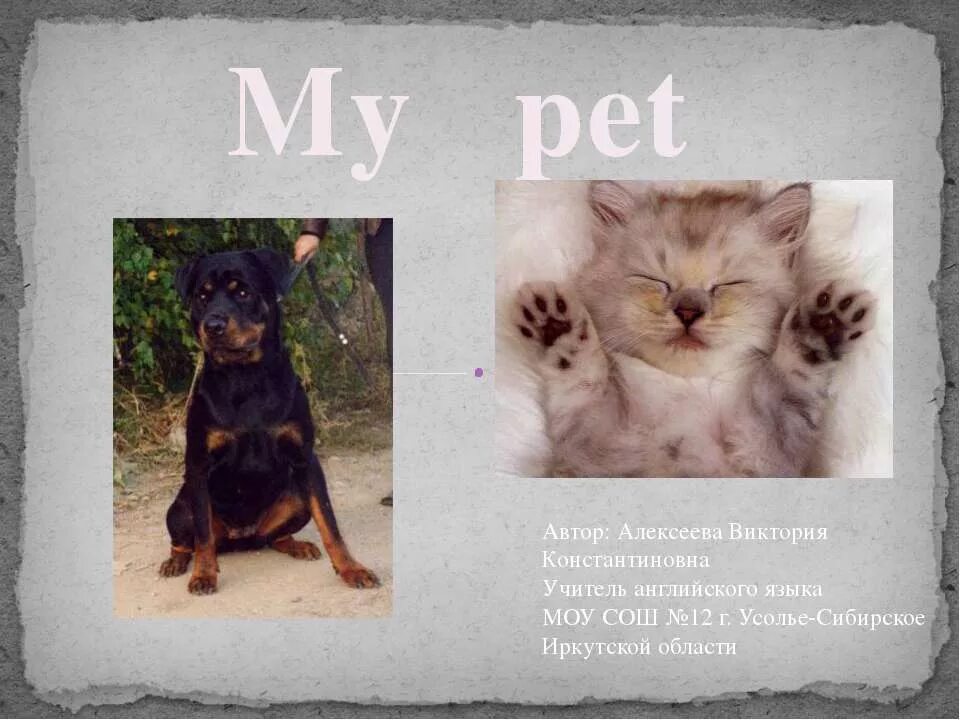 My Pet презентация. Проект my Pet. Проекты на тему my Pet. Мой питомец по английскому.