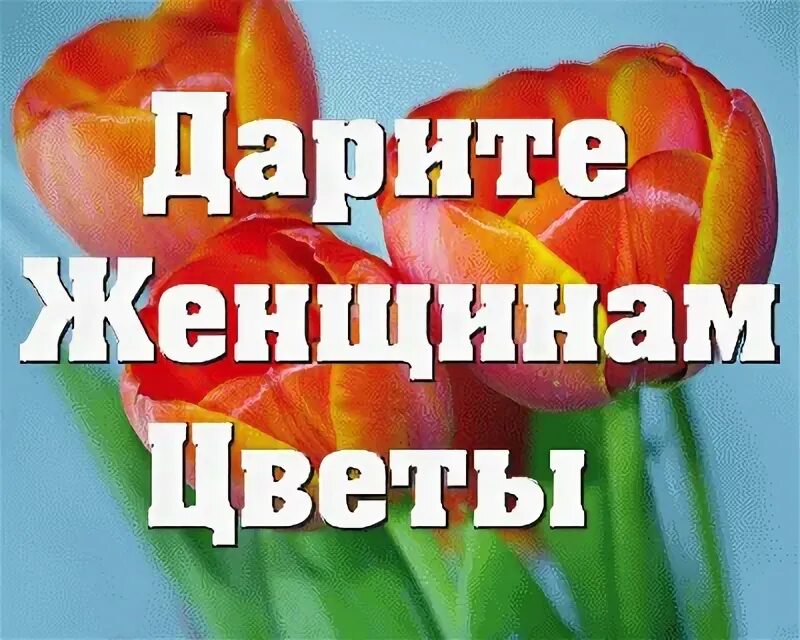 Слова песни дарите женщинам цветы без повода. Дарите женщинам цветы стихи. Открытка Дарите женщинам цветы. Плакат Дарите женщинам цветы. Дарите женщинам цветы стихи короткие.