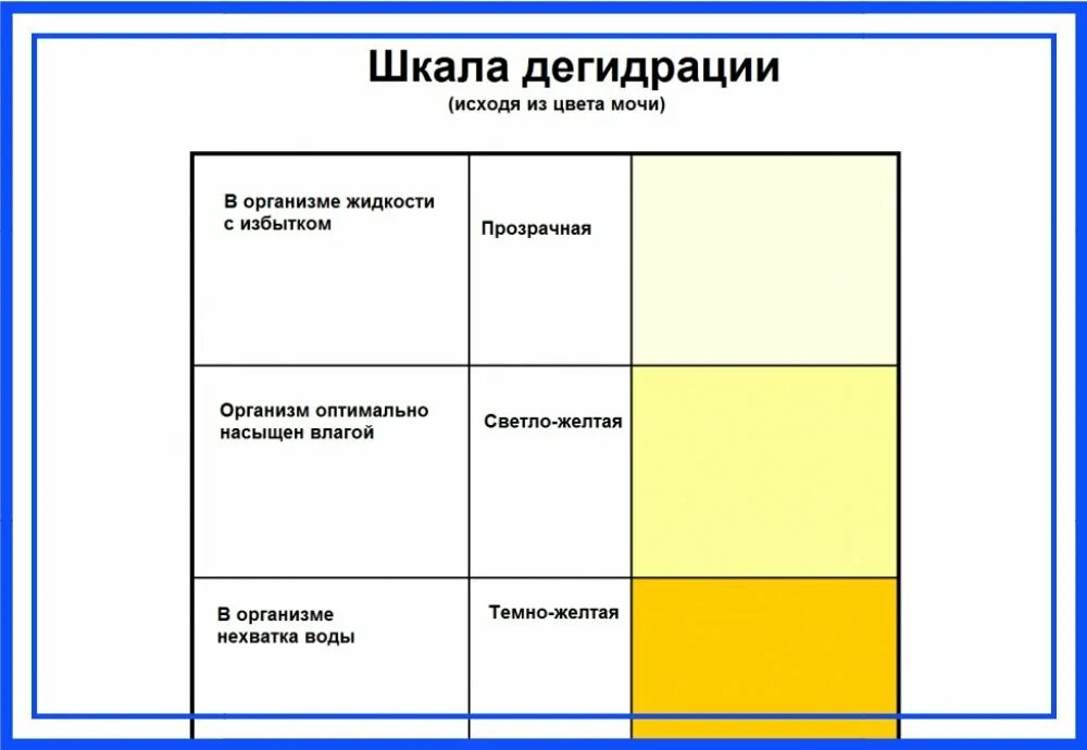 Какой должна быть моча в норме. Какого цвета должна быть моча у беременных 2 триместр. Моча нормального цвета. Желтый цвет мочи. Насыщенный желтый цвет мочи.