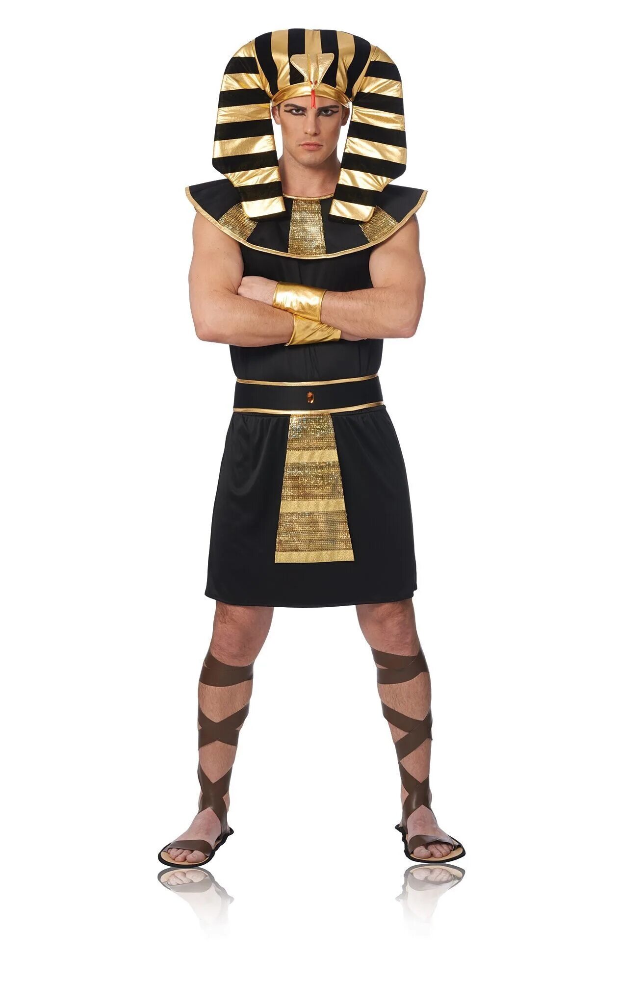 Король в полный рост. Фараон Тутанхамон в полный рост. Костюм фараона РАМЗЕС принц Египта. Египетский фараон в полный рост. Древний Египет фараон в полный рост.