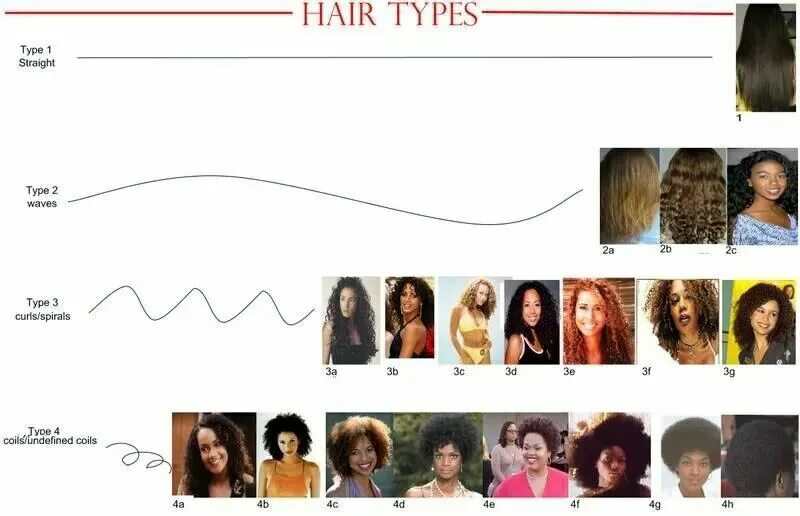 Curl types