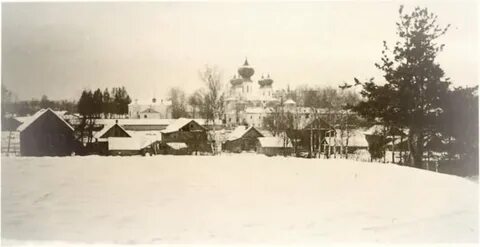 История длиною в жизнь во бору