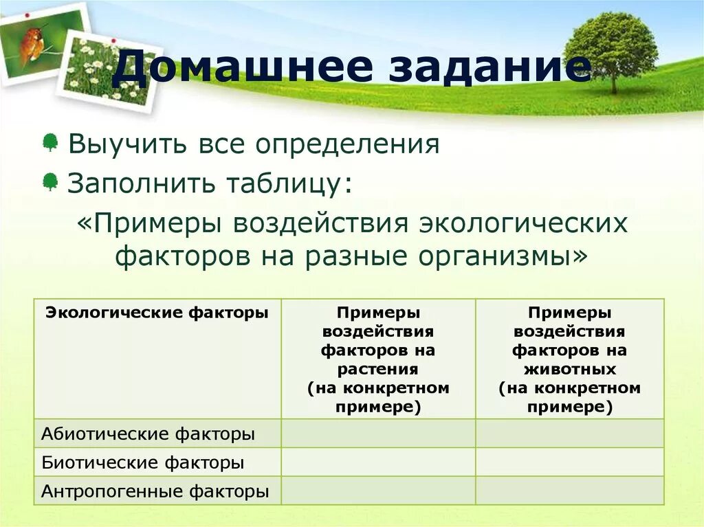 Растительные сообщества экологические факторы. Таблица влияние факторов на растения. Таблица по биологии 7 класс влияние абиотических факторов на растения. Примеры воздействия абиотических факторов на растения. Экологические факторы.