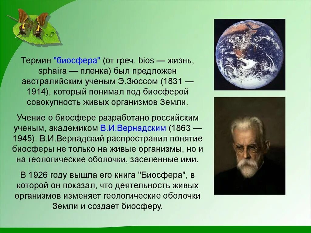 Человек и биосфера 5 класс. Биосфера и человек 6 класс география. Роль биосферы в природе. Биосфера доклад. Презентация на тему Биосфера.