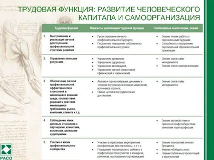 Трудовая функция развитие