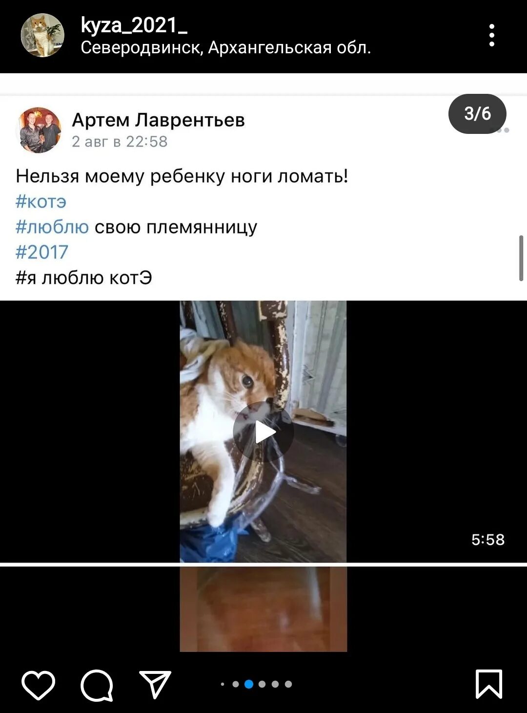 Кузя издевательство. Кузя издевательство. Артем лаврентьев кот кузя. Кот кузя северодвинск. Издевание над котом кузей.