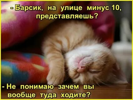 Больше не буду минус