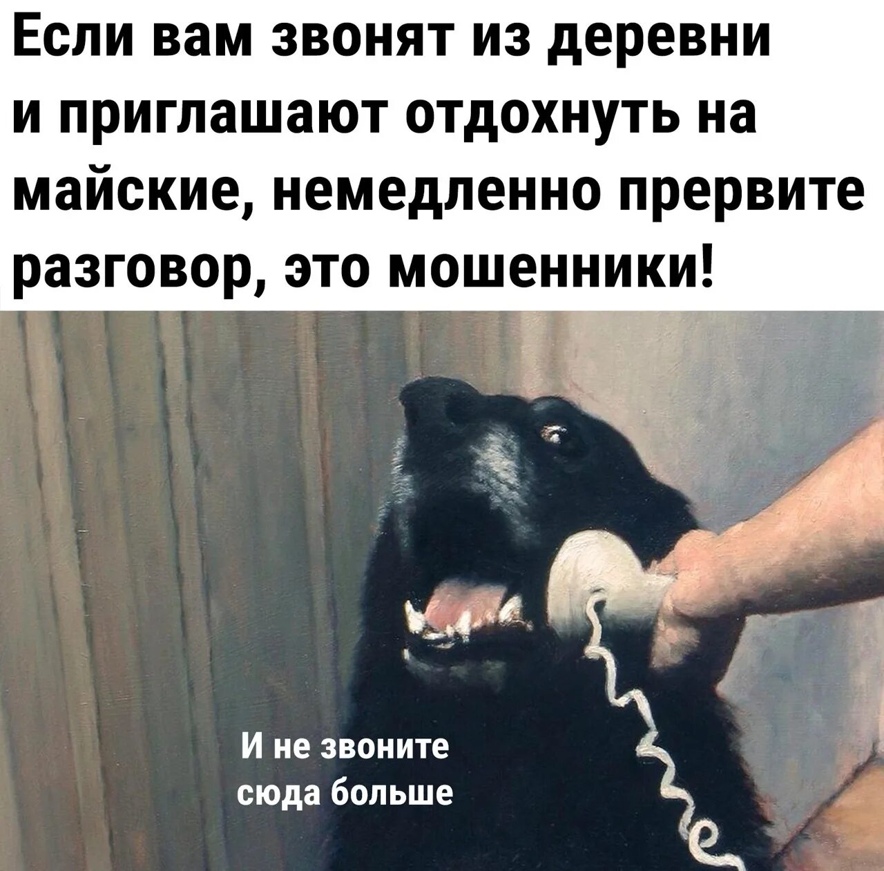 Звонят и говорят трубку не берет. Если вам звонят с работы не. если вам звонят с работы не берите трубку это мошенники. распоясался прикольные картинки. если вас приглашают на дачу отдохнуть не верьте это мошенники.