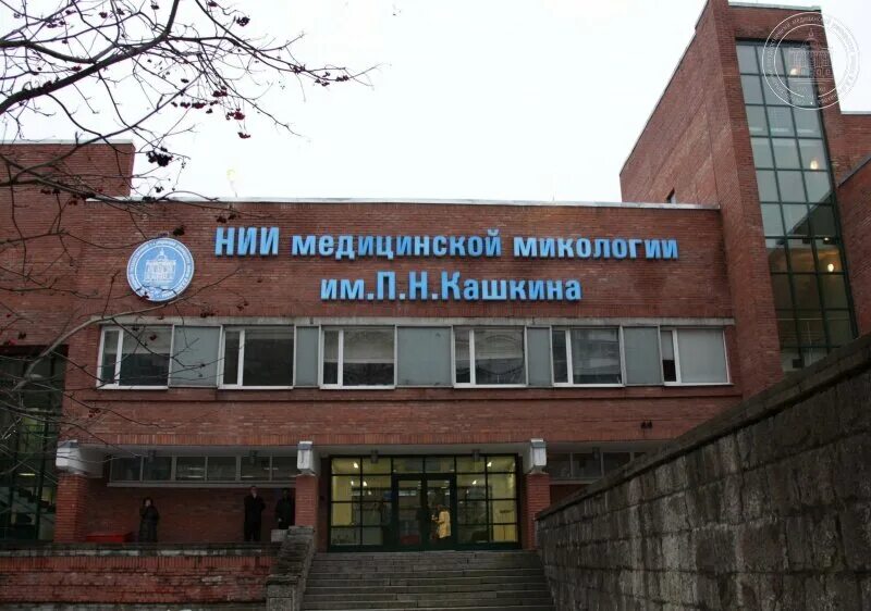 Национальный институт бизнеса и управления раньше. Международный научно исследовательский институт. Колледж международный институт рынка самара. Всесоюзный научно-исследовательский институт (внии). Международный институт рынка самара.