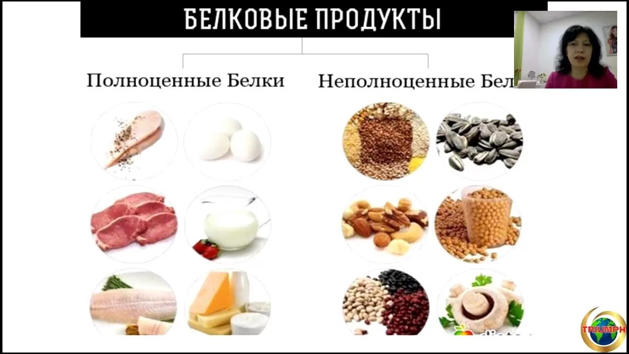 Белки продукты. Продукты богатые белками. Полноценные белки продукты. Все белковые продукты.