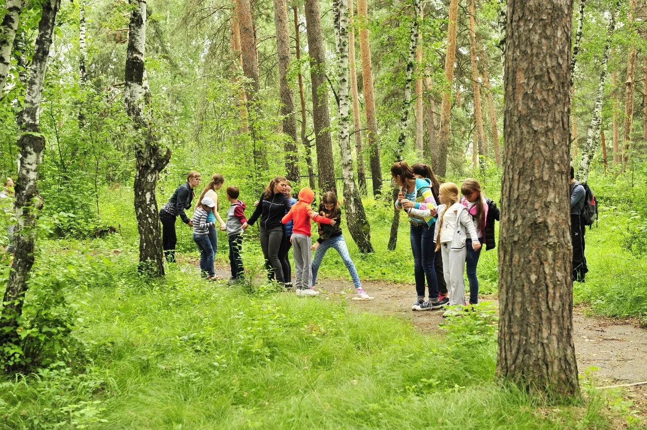 Каштакский бор