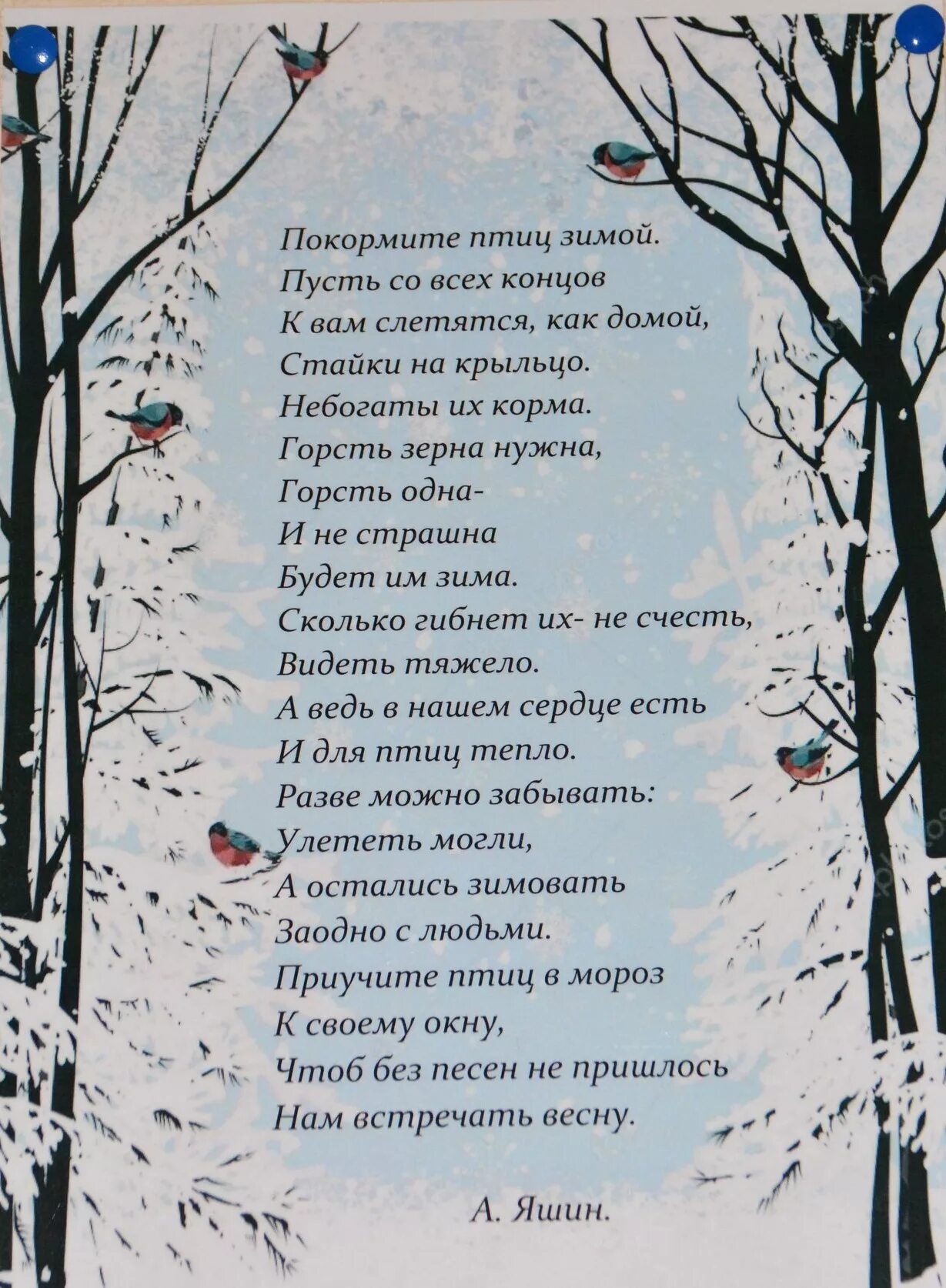 Птицы зимой песни. Стихотворение Яшина Покормите птиц. Стихотворение Яшина Покормите птиц зимой.