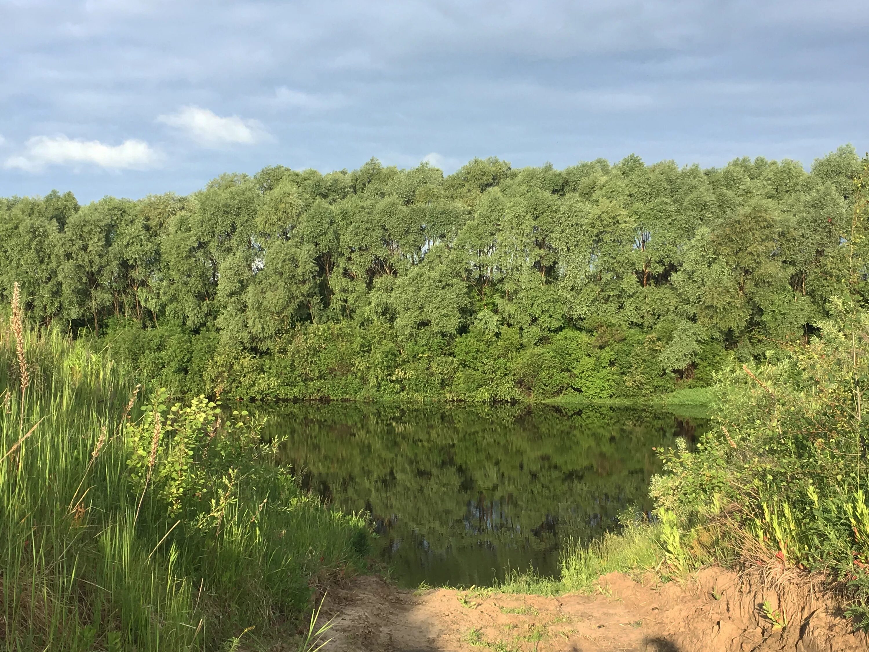 Цна (приток мокши). Река цна википедия. Бассейн реки цна. Река цна википедия. Цна река в тамбовской.