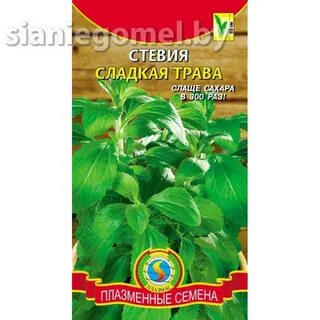 Сладкая стевия