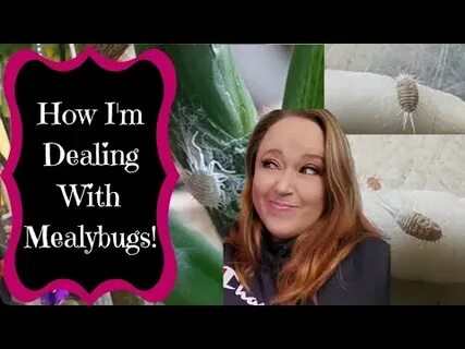 I m dealing with