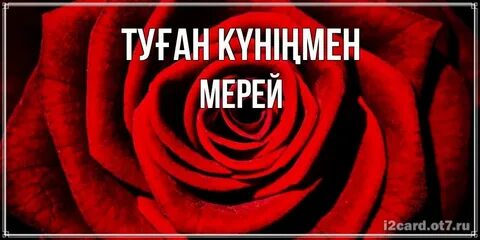 Топ 10 ең сексуалды T-Loks