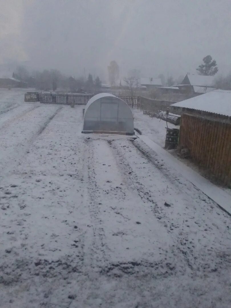 Где в области выпал снег. Снег в Кировской области. В Кировской области выпал снег. Опарино выпал снег.
