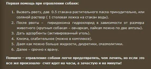 Как остановить рвоту у собаки. Первая помощь при отравлении собаки. Вызвать рвоту при отравлении. Первая помощь щенку при отравлении. Рвота при отравлении у собаки.