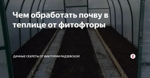 Чем обработать грунт осенью от фитофторы