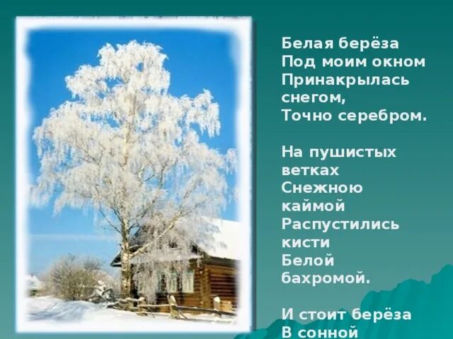 Стоит белая береза. Белая берёза под моим. Стих есенина белая берёза под моим окном. Белая берёза под моим окном принакрылась. Есенин береза.