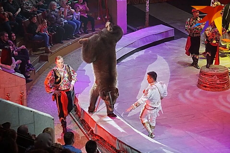 Большой московский цирк представление. Цирку 5 лет. Цирку 5 лет. Цирк на проспекте вернадского манежи. Китайский цирк дю солей.