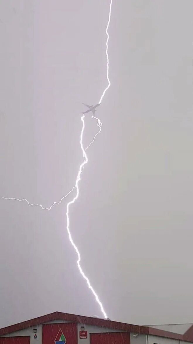 молния ударила в дерево. молния. молния электричество. гроза сызрань. удары молний в предметы.