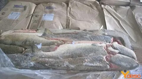 Рыба мороженая неразделанная