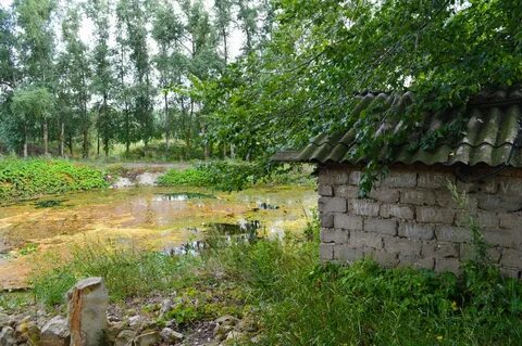 Пос родниковый