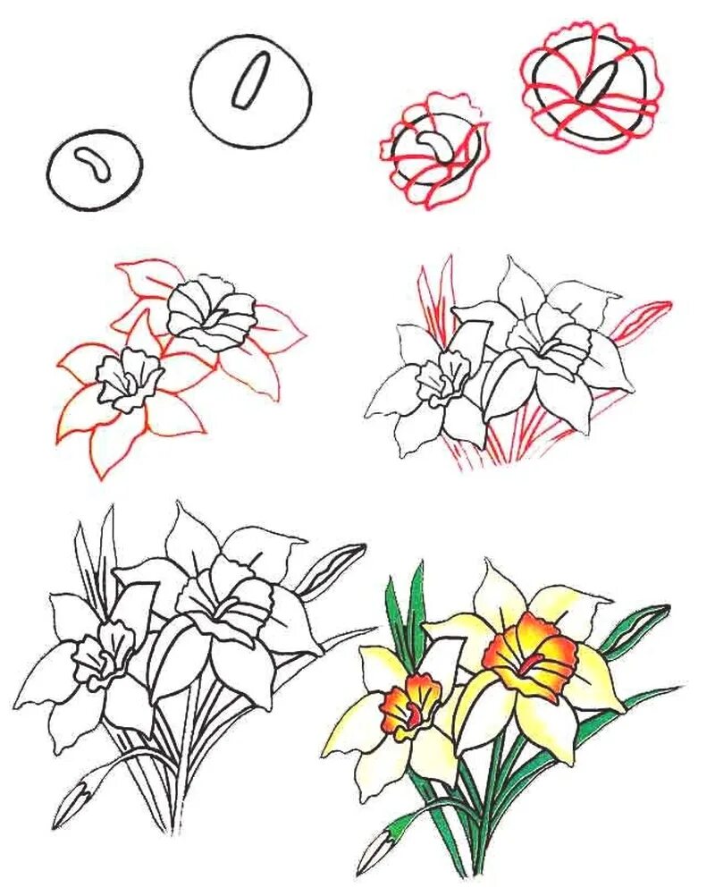 Уроки рисования для начинающих поэтапно. Поэтапное рисование цветов. Цветы рисунок карандашом. Цветы для рисования. Поэтапное рисование цветы карандашом.