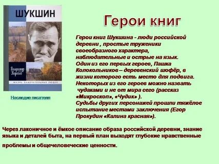 Шукшин критики краткое содержание для читательского дневника