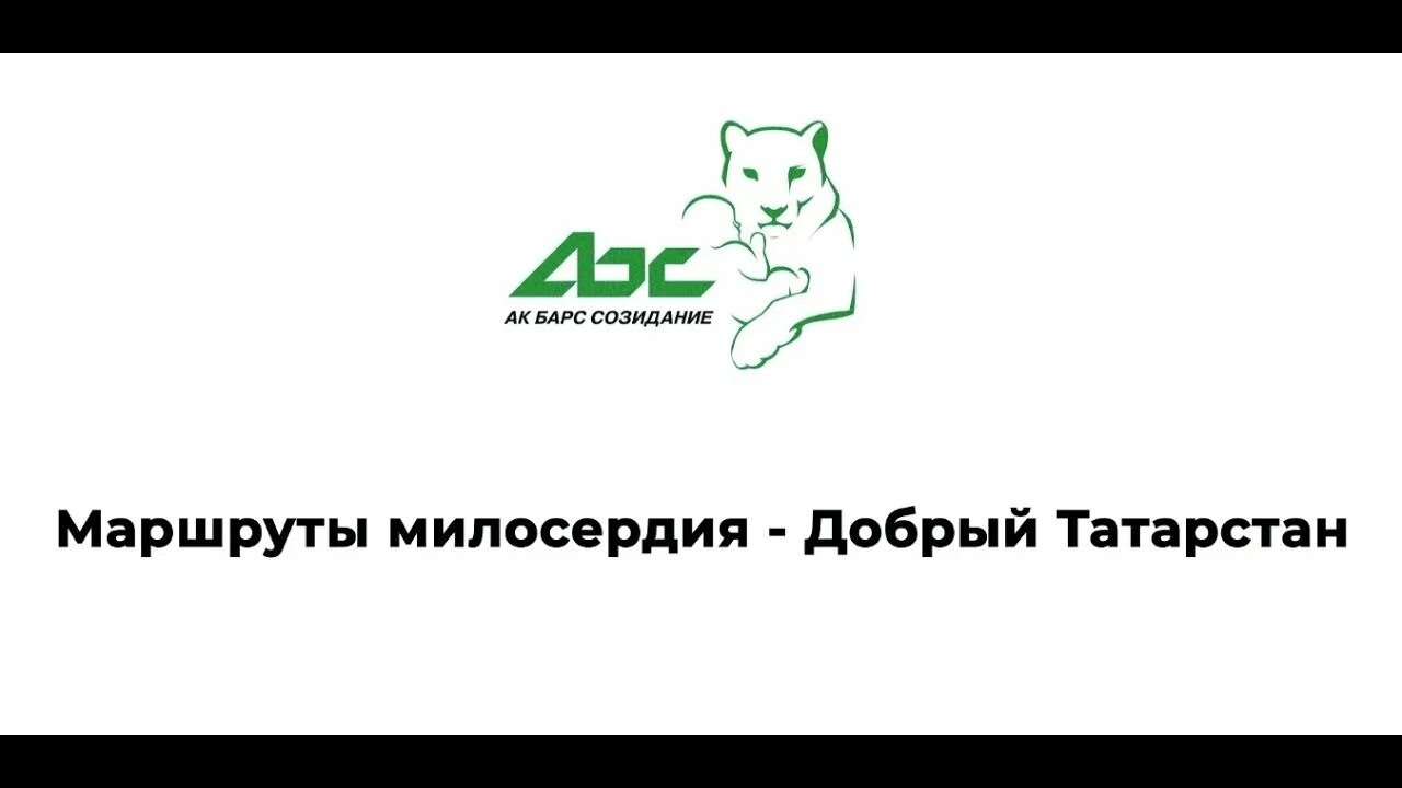 Барс созидание. Всемирный день неправительственных организаций 27 февраля. Ак барс созидание. Ак барс банк лого. Барс созидание.