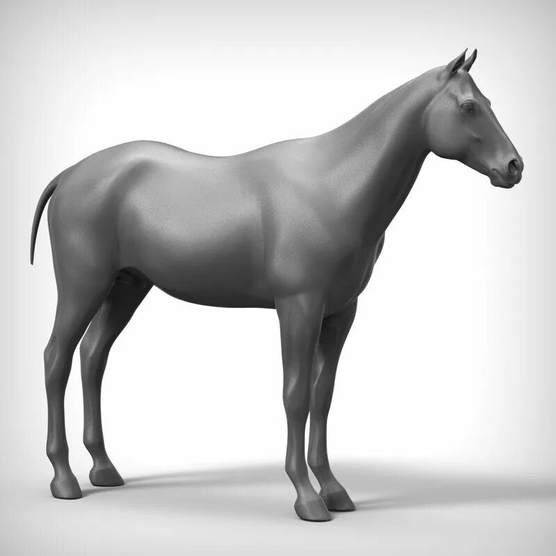 Конь 3d модель. Макет лошади. Horse stl 3d rfee. Блендера для лошади. Лошадь 3д модель.