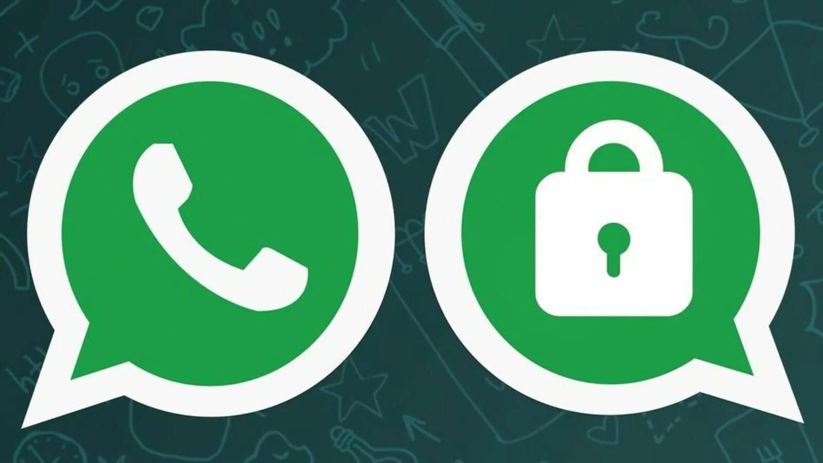 Whatsapp каналы
