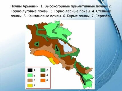 Почвы северо западного