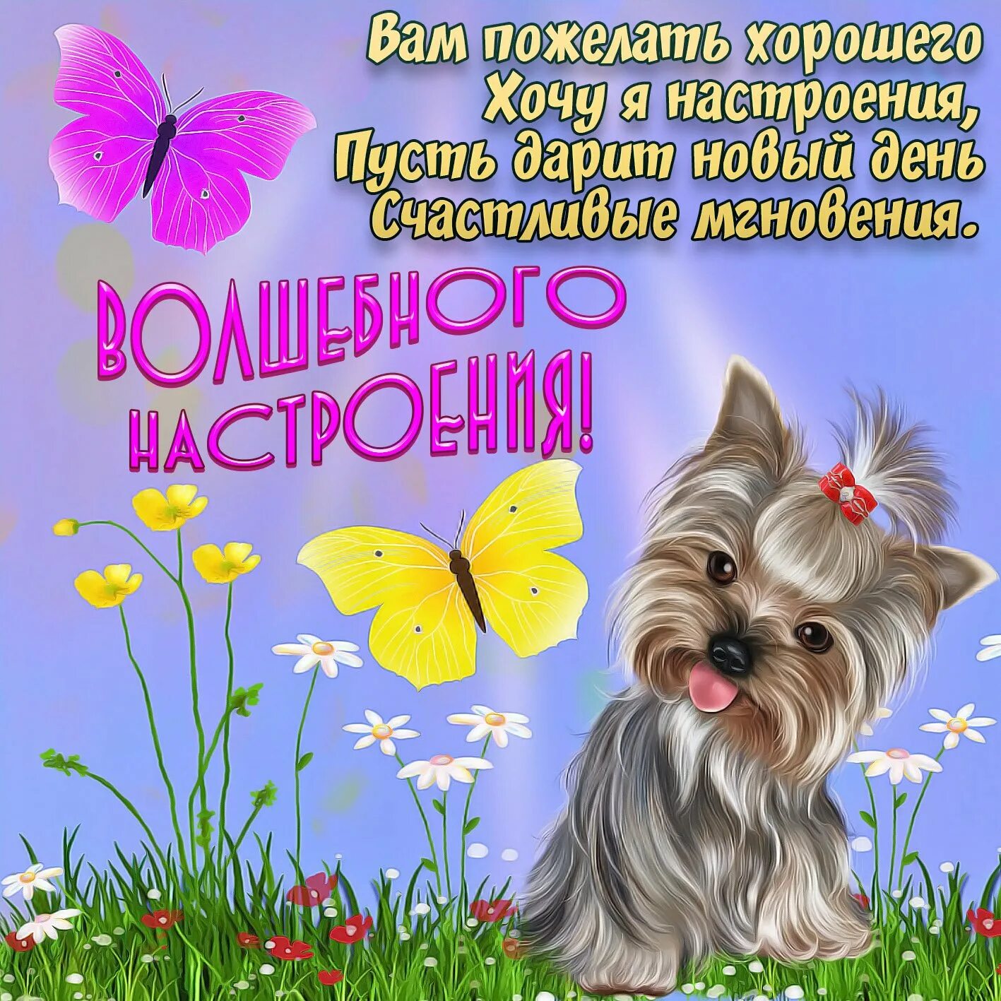Картинки с днем самых. Хорошие пожелания. Пожелания хорошего настроения. Хорошего дня и отличного настроения. Пожелания хорошеготдня.