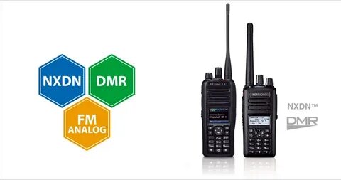 Dmr