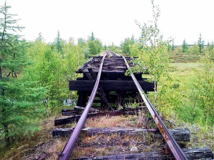 Заброшенная железная дорога чум Салехард Игарка. Железная дорога чум — Салехард — Игарка. Салехард-Игарка железная дорога. Трансполярная железная дорога.