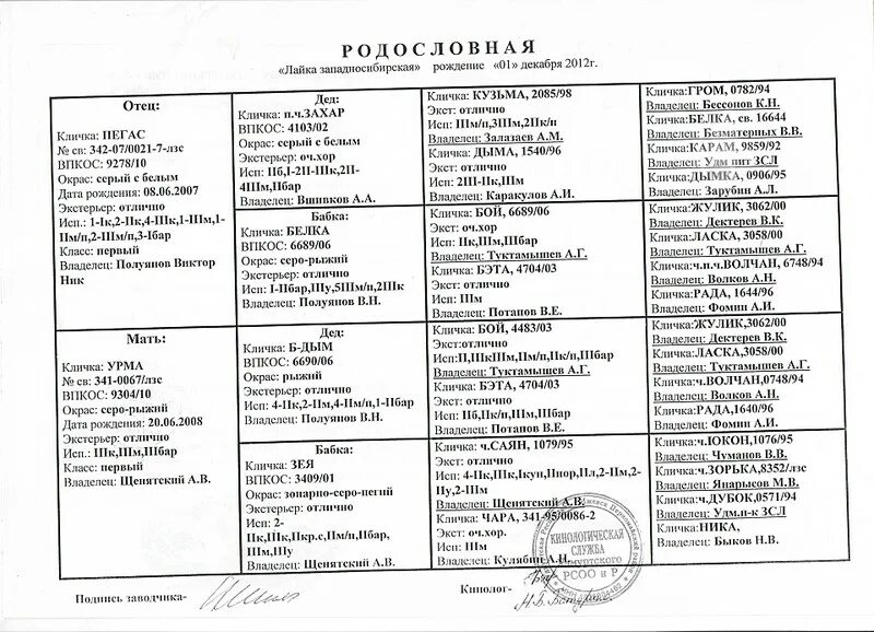 Клички для собак девочек больших пород. Сибирские клички собак. Сибирские клички собак. Клички для собак девочек лайки охотничьи. Родословная зсл.
