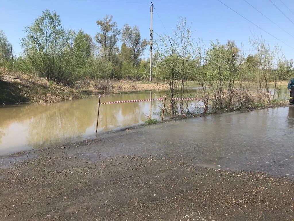 Уровень воды в реке обь город новосибирск. Затон Барнаул. Подтопление. Понтонный мост. Река без воды.