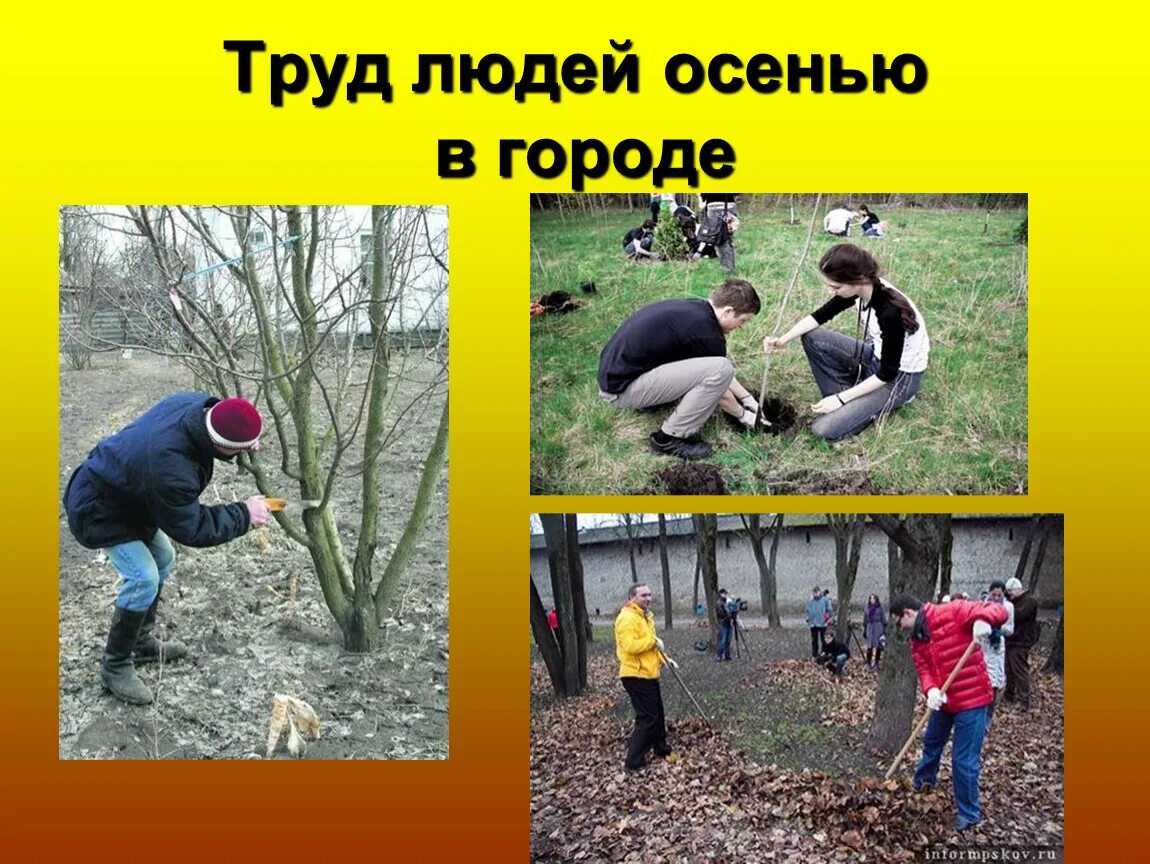 Тема труд делает человек человеком. Труд людей осенью. Труд людей осенью картинки для детей. Труд людей в природе. Труд людей в природе осенью.