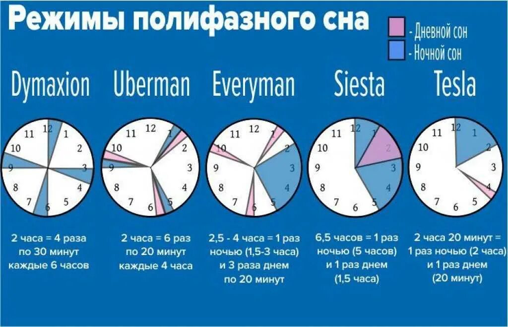 Полифазный сон Димаксион. Методики полифазного сна. Режим сна. График сна.